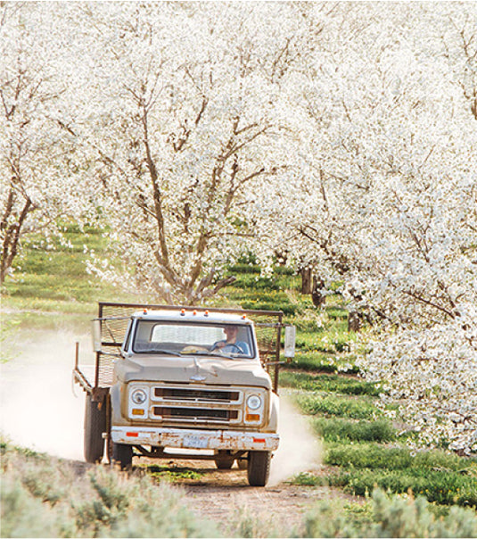 About Payson Fruit Growers