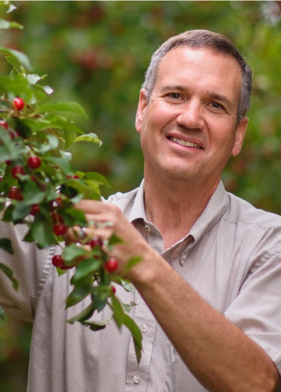 Man Picking Cherries